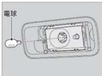 電球
