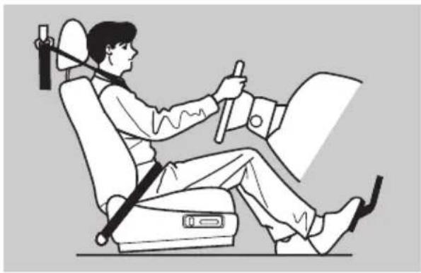 Honda Elysion (2004) - 運転席 - 1