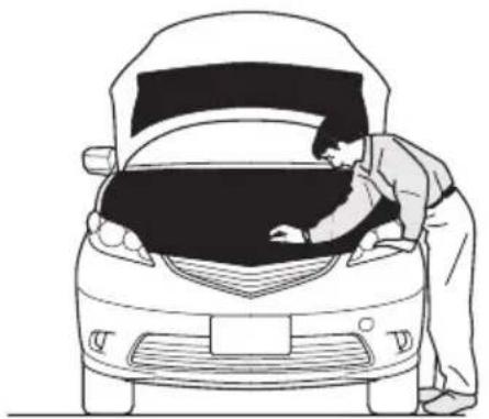 Honda Elysion (2004) - 日常点検 - 1