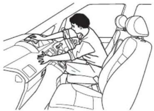 Honda Elysion (2004) - 内装の入手 - 1
