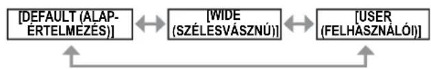 PANASONIC PT-DZ770EL - [AUTO SETUP (AUTOMATA BEÁLLÍTÁS)] - 1