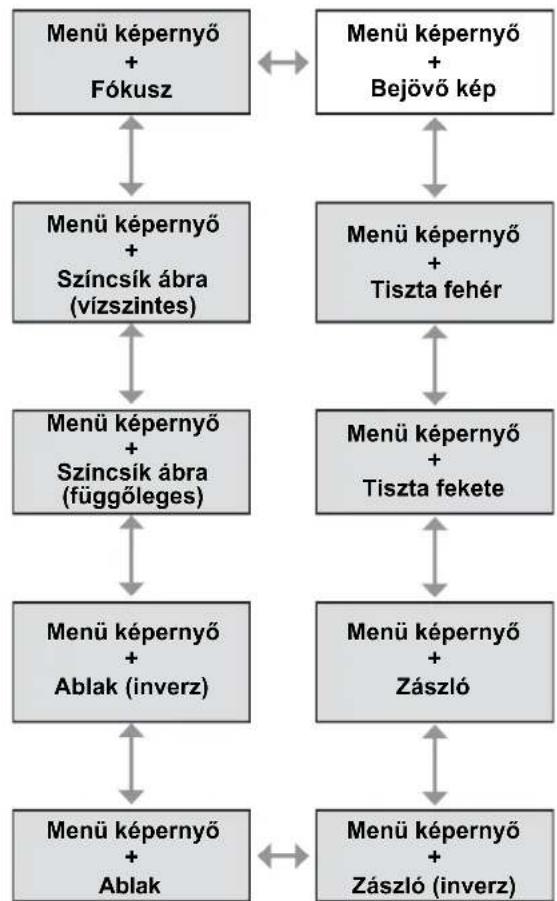 PANASONIC PT-DZ770EL - A ◀▶ gomb segítségével kapcsoljon át a különböző tesztábrákra. - 1