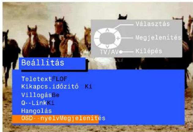 Választás Megjelenítés TV/AV Kilépés Beállítás TeletextFLOF Kikapcs.időzítő Ki VillogásBe Q--LinkKi Hangolás OSD--nyelvMegjelenítés