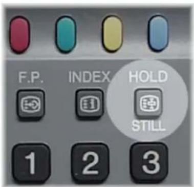F.P. INDEX HOLD STILL 1 2 3