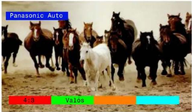 Panasonic Auto 4:3 Valós