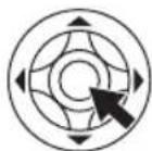PANASONIC NV-GS38 - Switching the language - 12