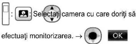 : Selectați camera cu care doriți să efectuați monitorizarea. → OK