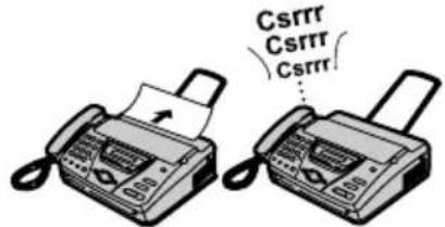 Csrrr Csrrr Csrrr