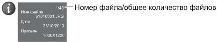 Имя файла 1/48 — Номер файла/общее количество файлов p1010001.JPG Дата 23/10/2010 Пиксель 1600X1200
