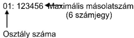 01: 123456 Maximális másolatszám (6 számjegy) ↑ Osztály száma