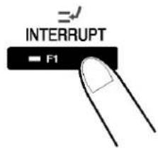 INTERRUPT F1