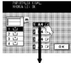 PAPRITALCA KIML_ NYDRUM LEG: OK