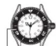 CASIO Collection MTP-1303PL-2FVEF - To set the day and day of the week - 2