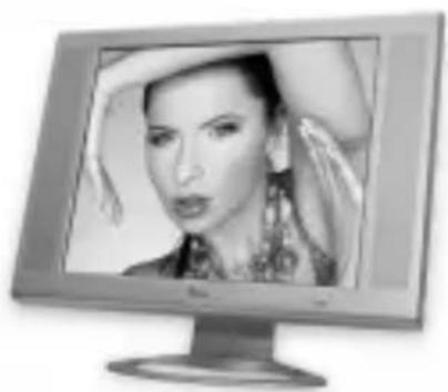 Manta MM258 - LCD Monitor 1703 with TV - 1