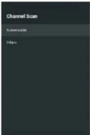 Channel Scan Numberable Others