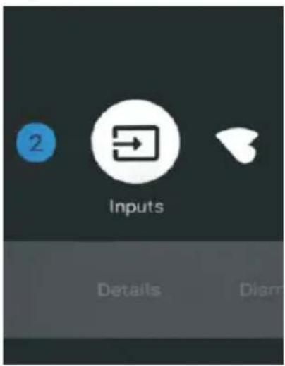 2 Inputs Details Disrr