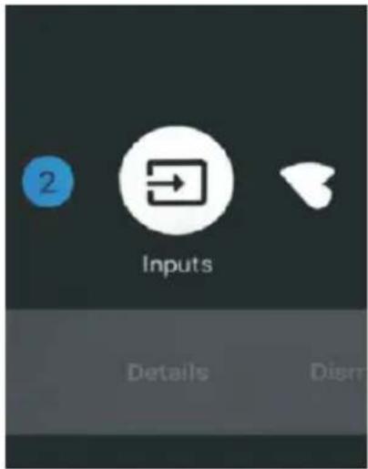 2 Inputs Details Disrr