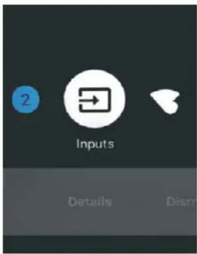 2 Inputs Details Dism