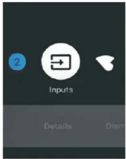 2 Inputs Details Disrr