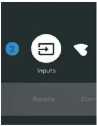 2 Inputs Details Disms