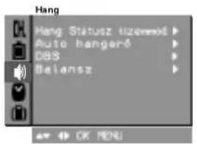 LG RZ-29FB55RQ - A hangjellemzők beállítása - 1