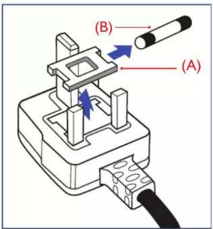 (A) (B)