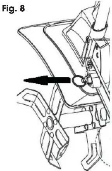 Fig. 8