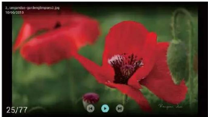 PHILIPS 7000 series 65PUF7093 - 观看照片 - 1