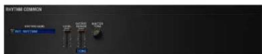 ROLAND SRX PIANO I - RHYTHM COMMON - 1