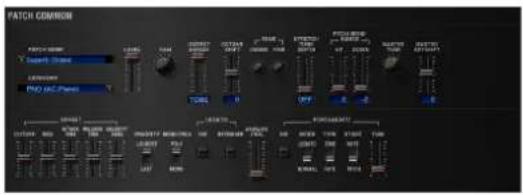ROLAND SRX PIANO II - COMMON - 1