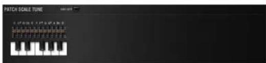 ROLAND SRX PIANO II - PATCH SCALE TUNE - 1