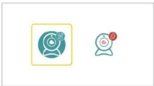 Two stylized icons: a camera with a flower and a webcam with a red bird, both without any text or symbols.