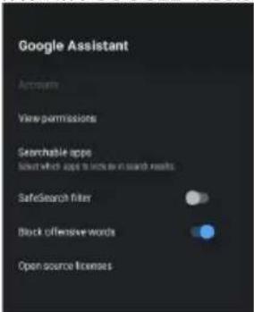 Aconatic 43HS500AN - การตั้งค่า GOOGLE ASSISTANT - 1