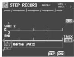 STEP RECORD VARI 1 END RAPTH VAR12 STOCK 1 TICKS RSP EBS TRACK CLR REP END