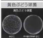 Onlili ONL-HF006 - Drop Clean - 4