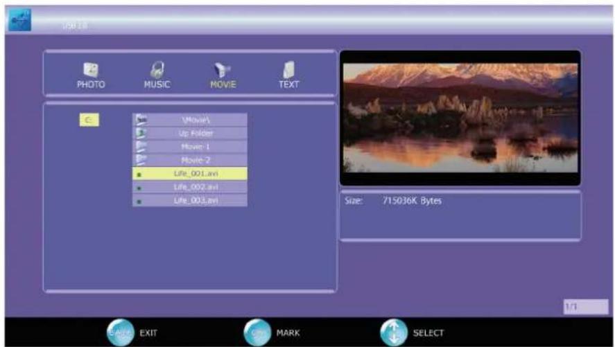 BENQ ML2441 - Playing Movie - 1