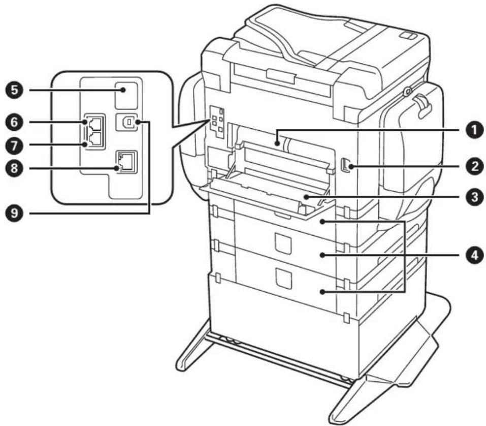 EPSON WorkForce Pro WF-C869 - Printer Basics - 1