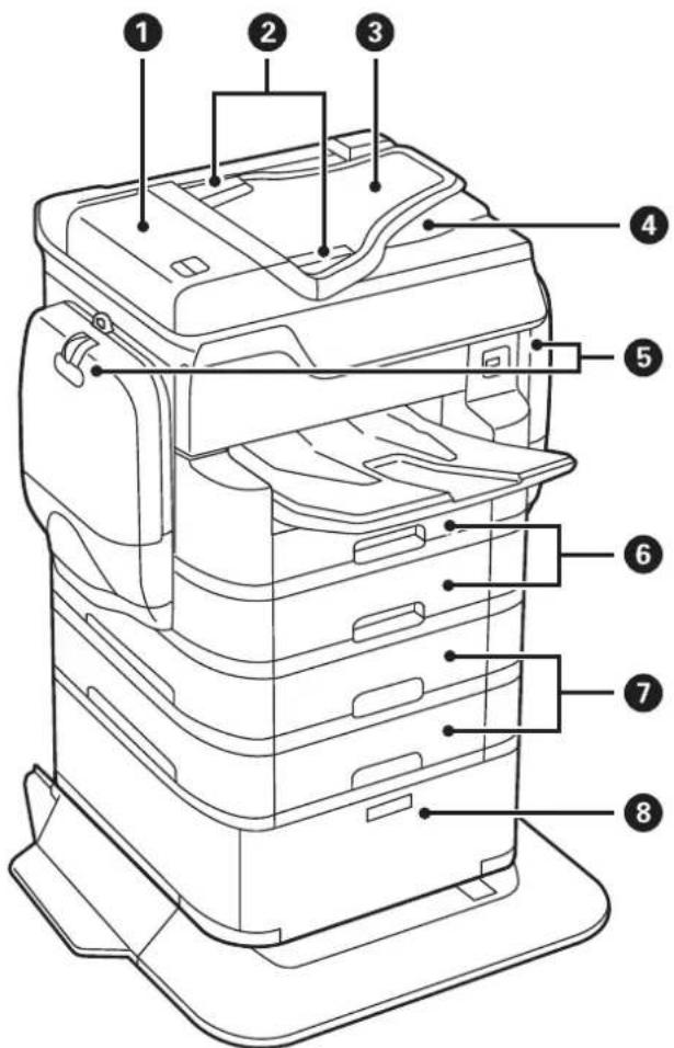 EPSON WorkForce Pro WF-C869 - Printer Basics - 1