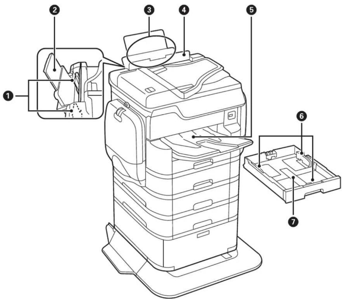 EPSON WorkForce Pro WF-C869 - Printer Basics - 1