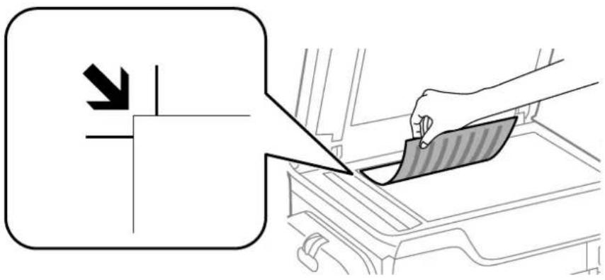 EPSON WorkForce Pro WF-C869 - Placing Originals - 2