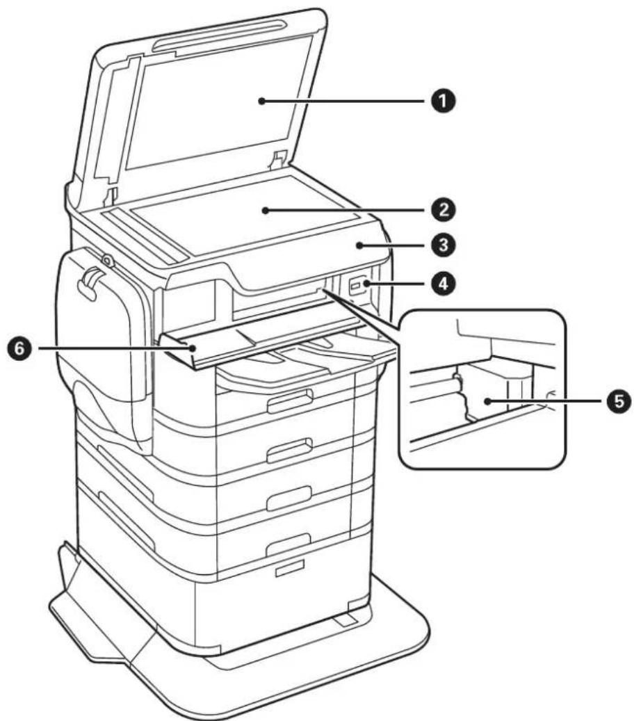 EPSON WorkForce Pro WF-C869 - Printer Basics - 1