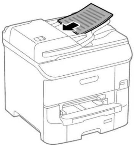 EPSON WF-6590DWF - Placing Originals - 2
