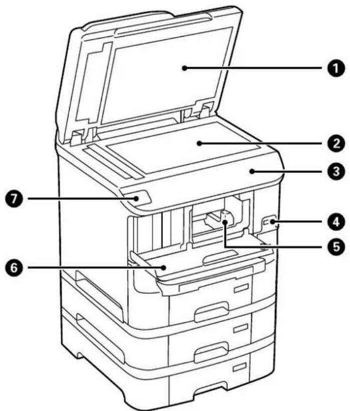 EPSON WF-6590DWF - Printer Basics - 1
