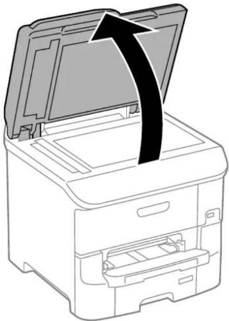 EPSON WF-6590DWF - Placing Originals - 1