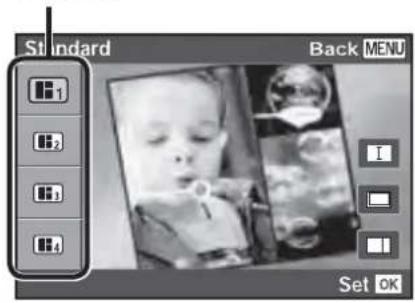 OLYMPUS SH-1 - Types of theme - 1