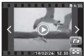 OLYMPUS SH-1 - Movie playback - 1