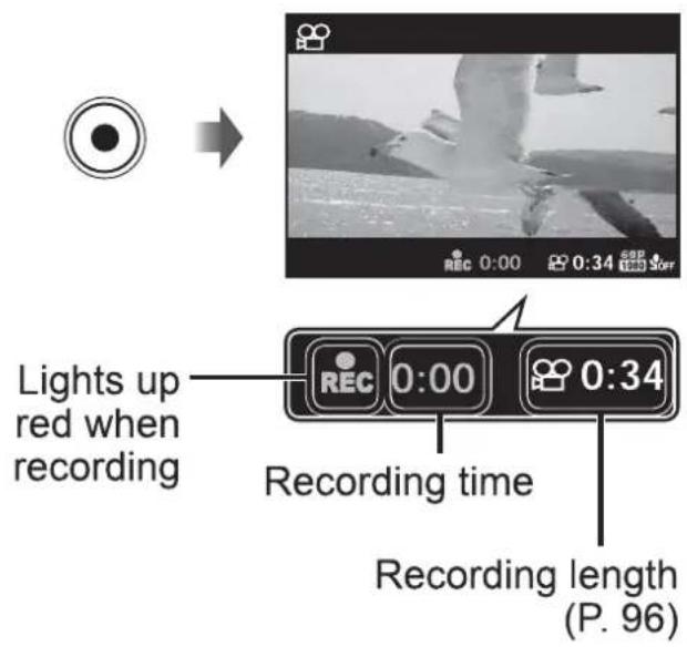 OLYMPUS SH-1 - Press the Ⓞ (movie) button to start recording. - 1
