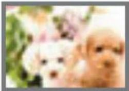 CASIO Exilim High Speed ZR10 - Image Size Selection Tips - 2