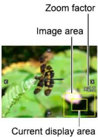 CASIO Exilim High Speed ZR10 - Zooming an On-screen Image - 1