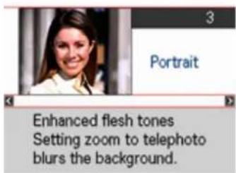 CASIO Exilim High Speed ZR10 - ■ Using the Scene Information Screen - 1